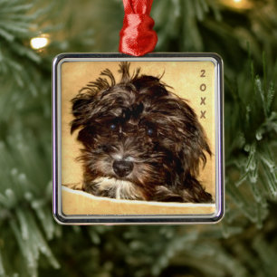 Schnoodle Premium Square Ornament