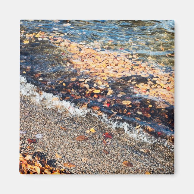 schoodic bay in the fall magnet (Front)