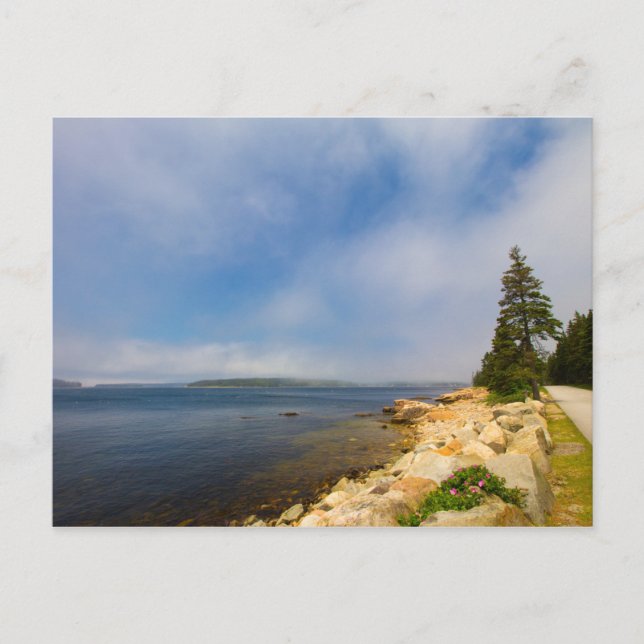 Schoodic Peninsula, Acadia National Park, Maine Postcard (Front)