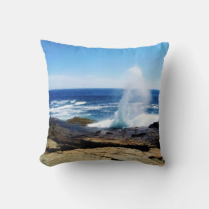 Schoodic Point Cushion