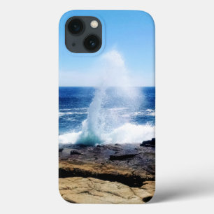 Schoodic Point iPhone Cases