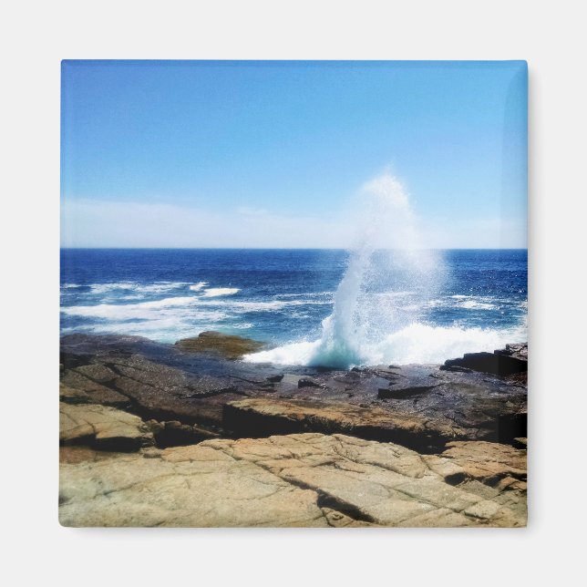 Schoodic Point Magnet (Front)