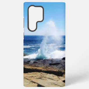 Schoodic Point Samsung Phone Cases
