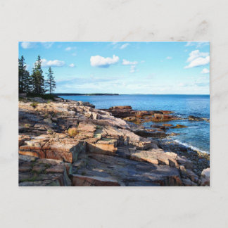 Schoodic Shoreline 1-adj Postcard
