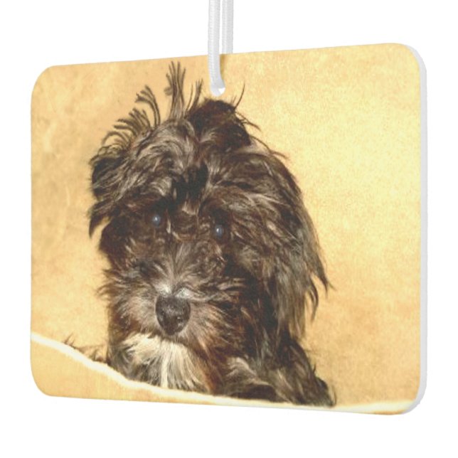 Schoodle Dog Car Air Freshener (Left)