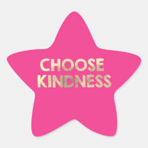 School Antibullying Pink Choose Kindness Star Sticker