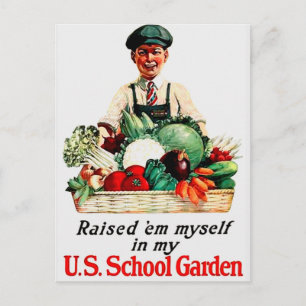 School Garden Postcard