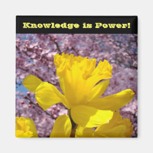 School Locker magnets Knowledge is Power!