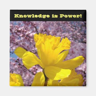 School Locker magnets Knowledge is Power!