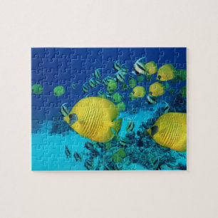 School of Butterfly Fish Swimming on the Seabed Jigsaw Puzzle