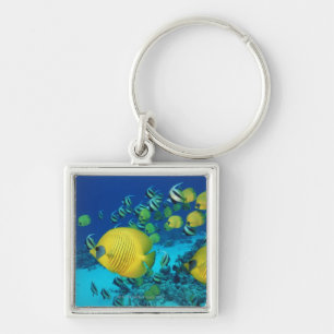 School of Butterfly Fish Swimming on the Seabed Key Ring