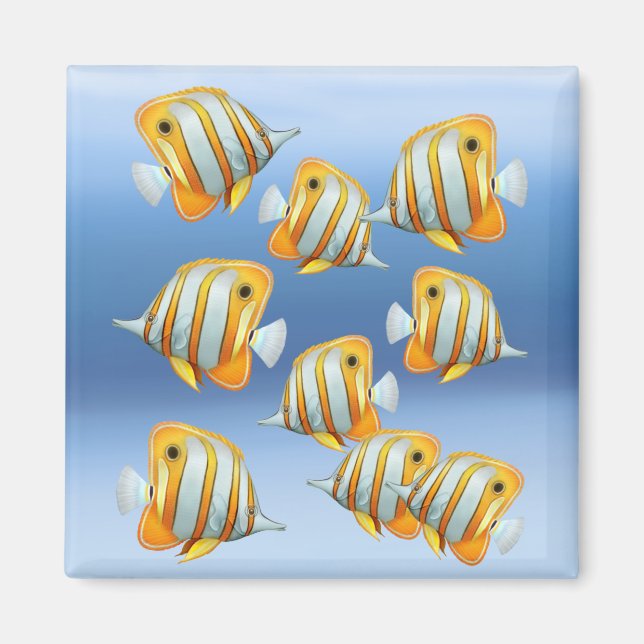 School of Copperband Butterfly Fish Magnet (Front)