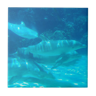 School of Dolphins Tile