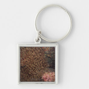 School of Fish 2 Key Ring