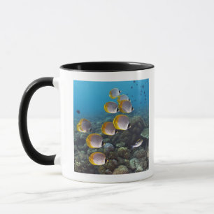 School of Fish 2 Mug
