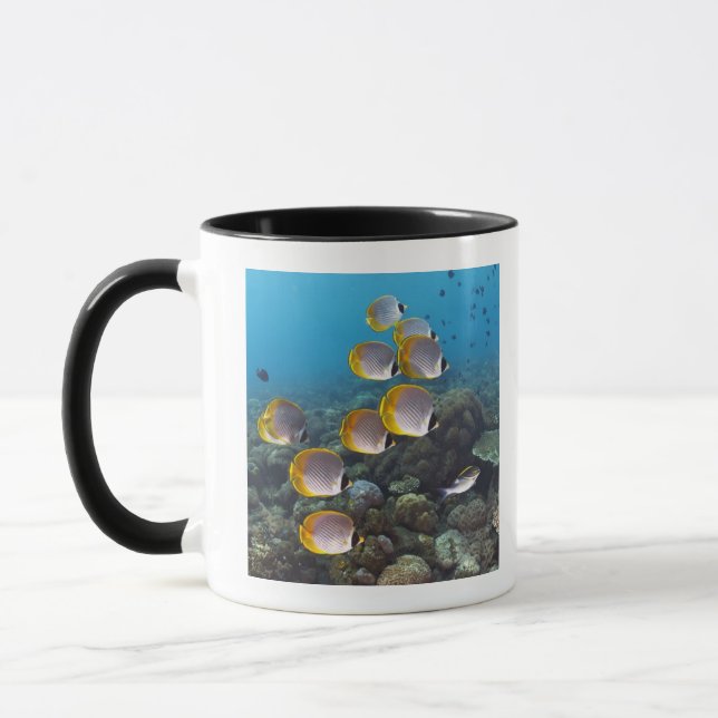 School of Fish 2 Mug (Left)