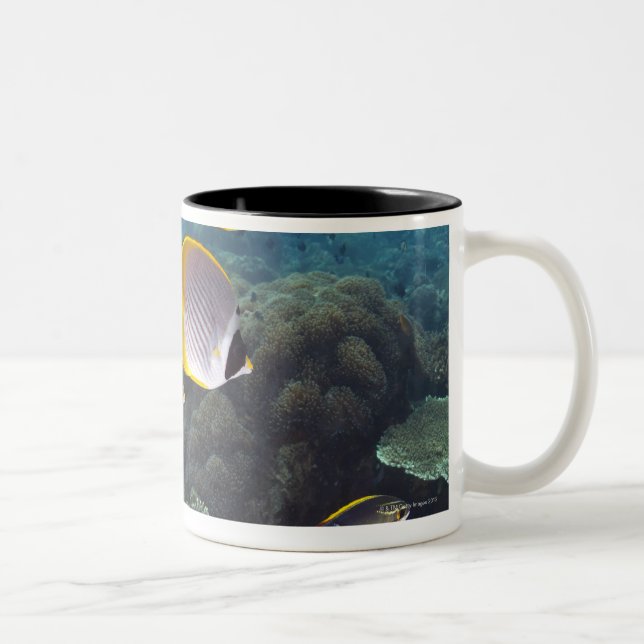 School of Fish 2 Two-Tone Coffee Mug (Right)