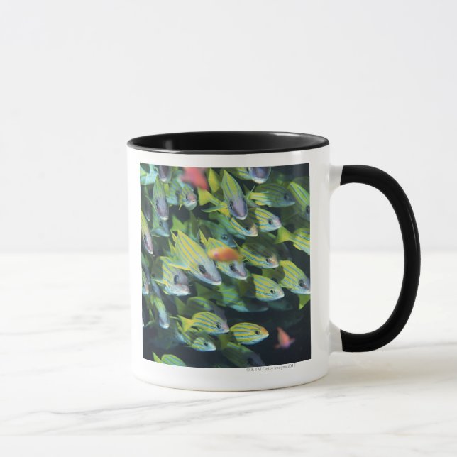 School of Fish 7 Mug (Right)