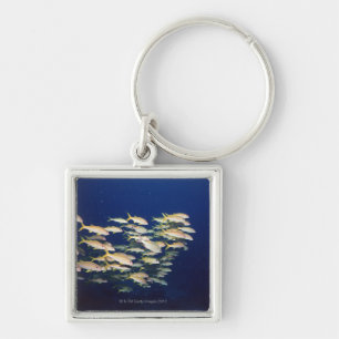 School of Fish 8 Key Ring