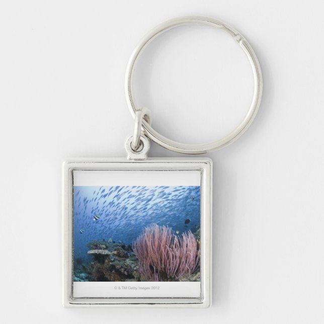 School of fish above reef key ring (Front)