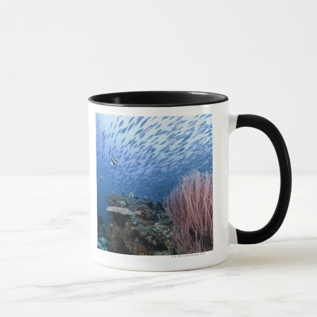 School of fish above reef mug (Right)