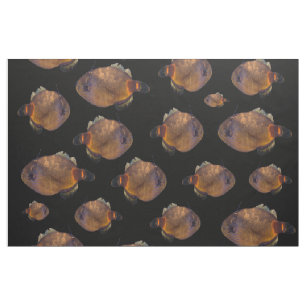School Of Leatherjacket Fish, Cotton Material Fabric