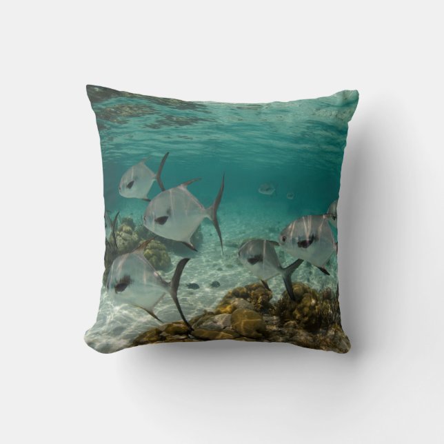 School of Permit Fish Cushion (Front)