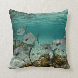 School of Permit Fish Cushion