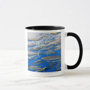 School of Rainbow Runners, Sea of Cortez, Mexico Mug