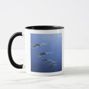 School of squid in the Caribbean Mug