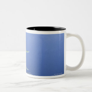 School of squid in the Caribbean Two-Tone Coffee Mug