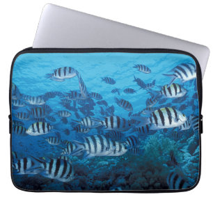 School of Striped Fish Laptop Sleeve