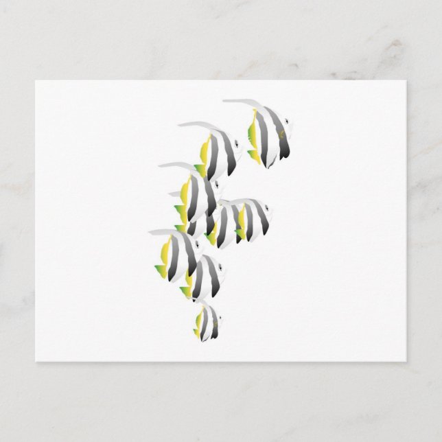School of Tropical Fish Postcard (Front)