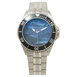 School of Yellowfin Tuna Watch