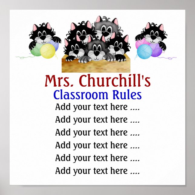 School Teacher's Classroom Rules . by SRF Poster (Front)