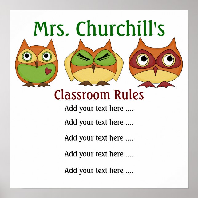School Teacher's Classroom Rules LG. by SRF Poster (Front)