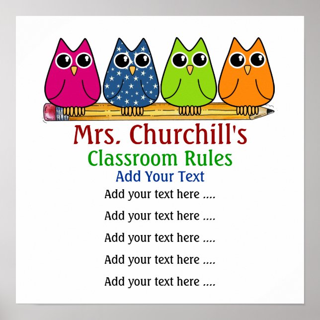 School Teacher's Classroom Rules - SRF Poster (Front)