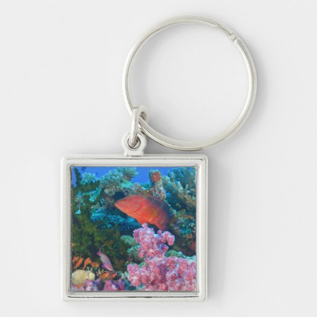 schooling Fairy Basslets  (Pseudanthias Key Ring (Front)