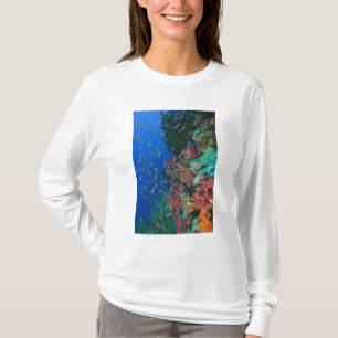Schooling Fairy Basslets (Pseudanthias T-Shirt