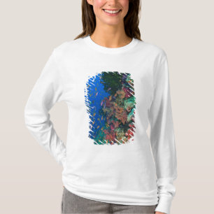 Schooling Fairy Basslets (Pseudanthias T-Shirt
