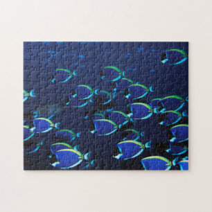 Schooling Powder Blue Surgeonfish Jigsaw Puzzle