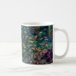 Schools of Fish Swim in Reef Coffee Mug