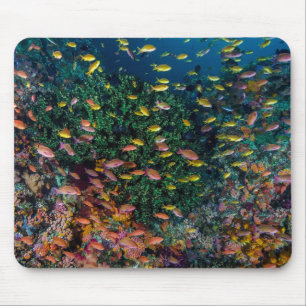 Schools of Fish Swim in Reef Mouse Pad