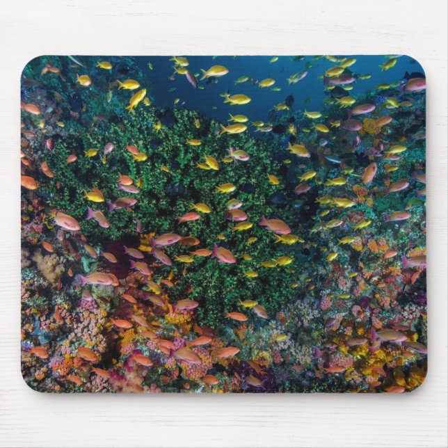 Schools of Fish Swim in Reef Mouse Pad (Front)