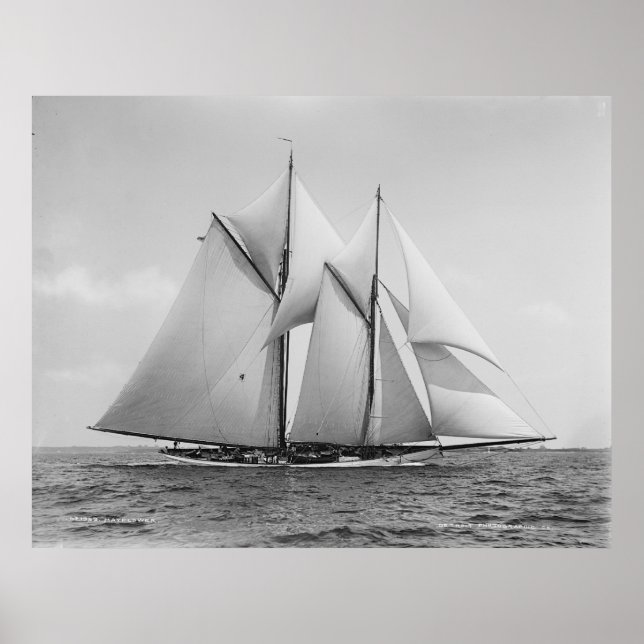 Schooner Mayflower Poster (Front)