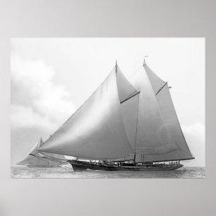 Schooner Yacht "Ramona" Poster