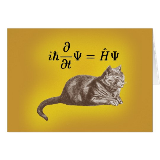 Schrodinger cat card
