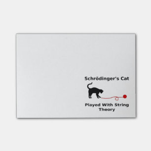 Schrödinger’s Cat Played With String Theory Post-it Notes