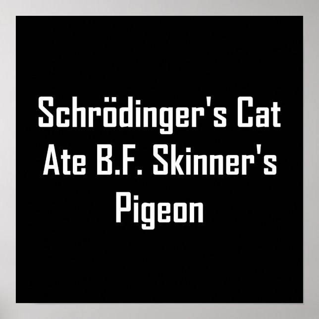 Schrodinger's Cat Ate B.F. Skinner's Pigeon Poster (Front)