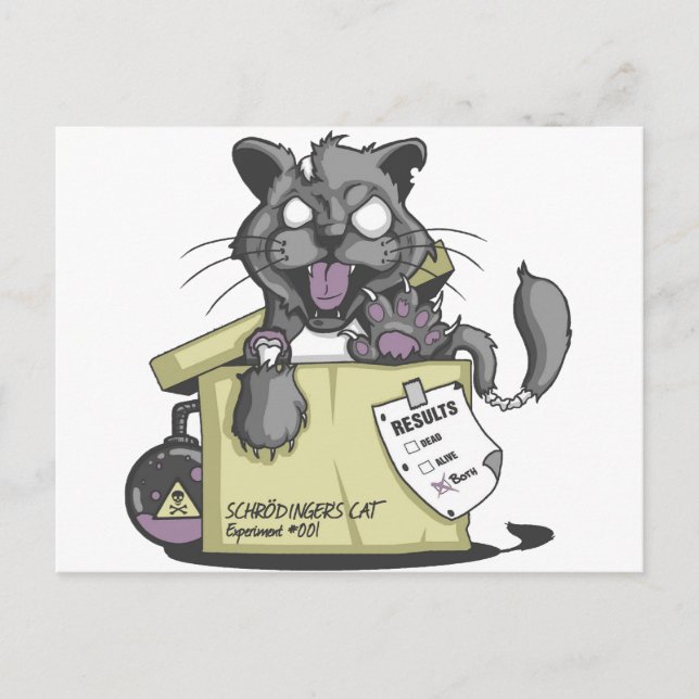 Schrodinger's Cat - New Postcard (Front)